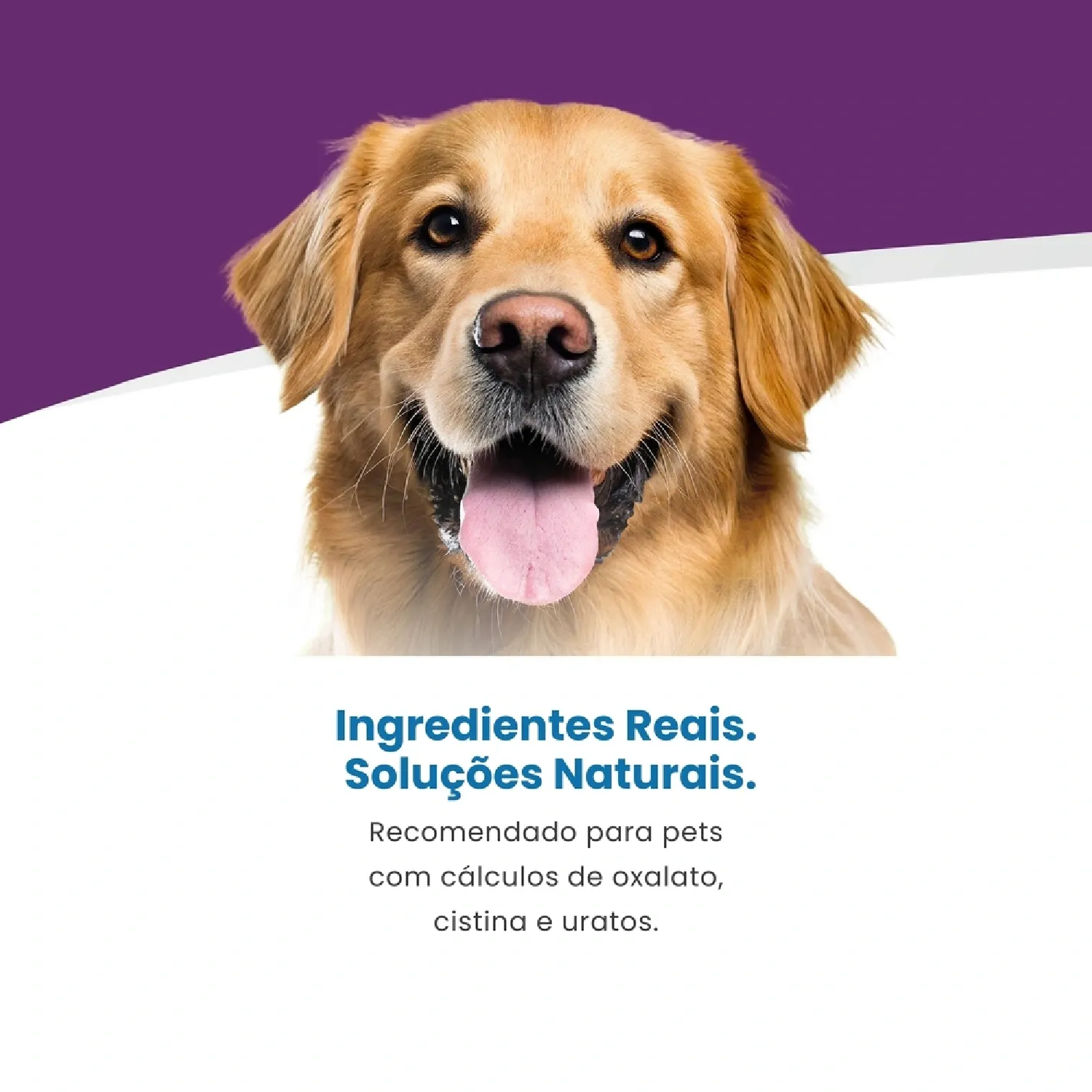 Racao Vet Life Natural Canine Urinary Ossalati 4